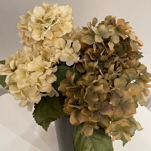 Elegant Cream and Tan Hydrangea Arrangement